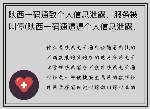 陕西一码通致个人信息泄露，服务被叫停(陕西一码通遭遇个人信息泄露，服务暂停使用)